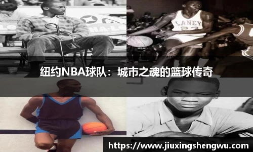 纽约NBA球队：城市之魂的篮球传奇